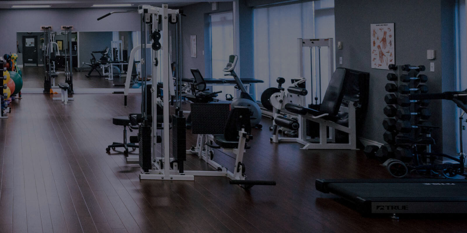 Physiotherapy On Wheels | Mississauga, Toronto, Brampton & the GTA